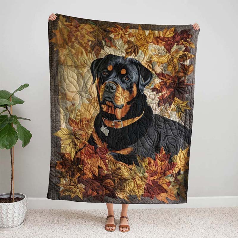 Rottweiler'S Autumn Breeze Blanket - D248 - Premium Blanket