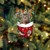 Savannah Cat In Snow Pocket Christmas Ornament SP198